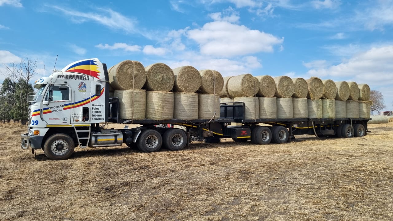 Animal Feed, Transport, Animal feed transport, transport of animal feed, animal feed for sale, sabie animal feed, feed for animals, animal feed nelspruit, animal feed near nelspruit